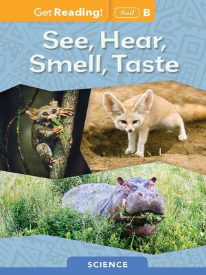 cover image of See, Hear, Smell, Taste